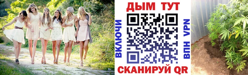 Марихуана индика  купить   Белинский 